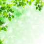 朝はデトックスの時間です