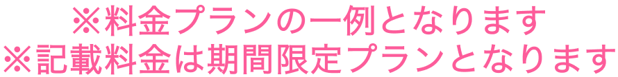 料金プランの一例となります