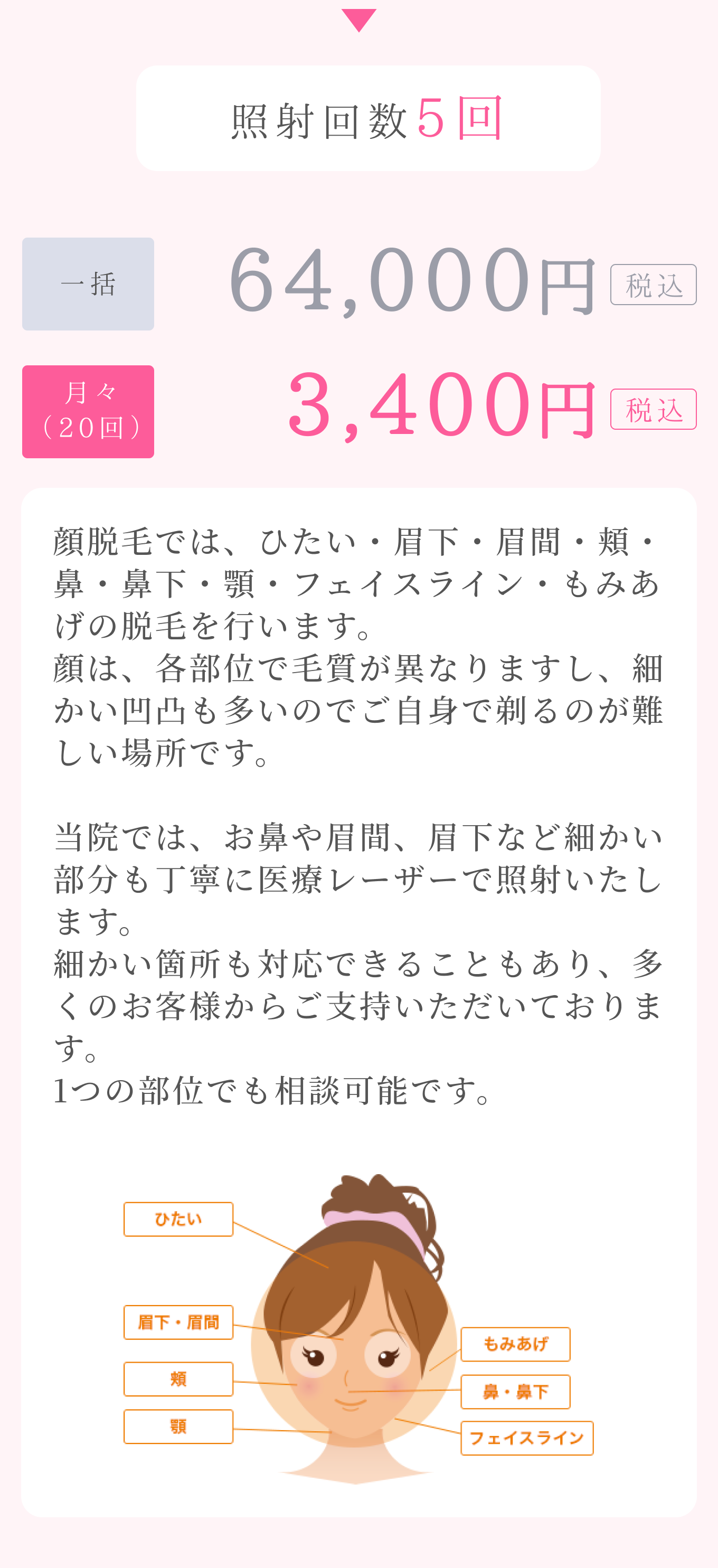 全顔