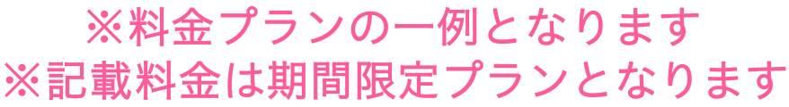 料金プランの一例となります